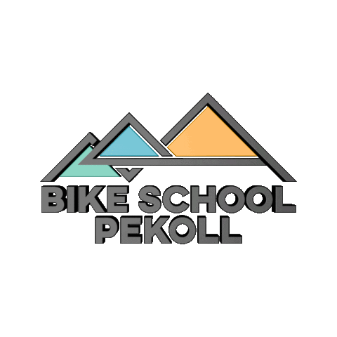 BSP insta sticker