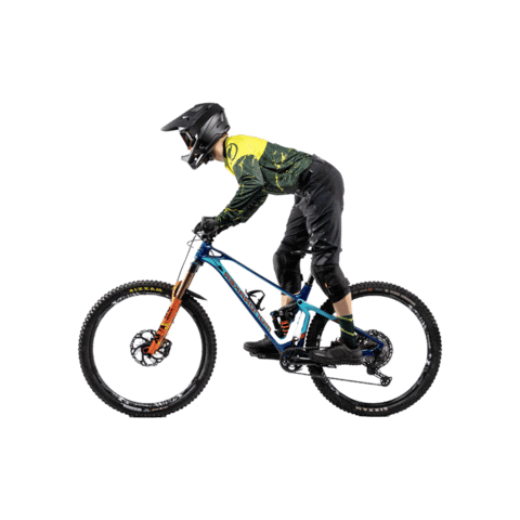 BSP insta sticker