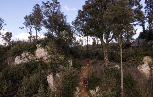 Bikeschool Pekoll E-Bike Enduro Camp Offseason-Week Toskana