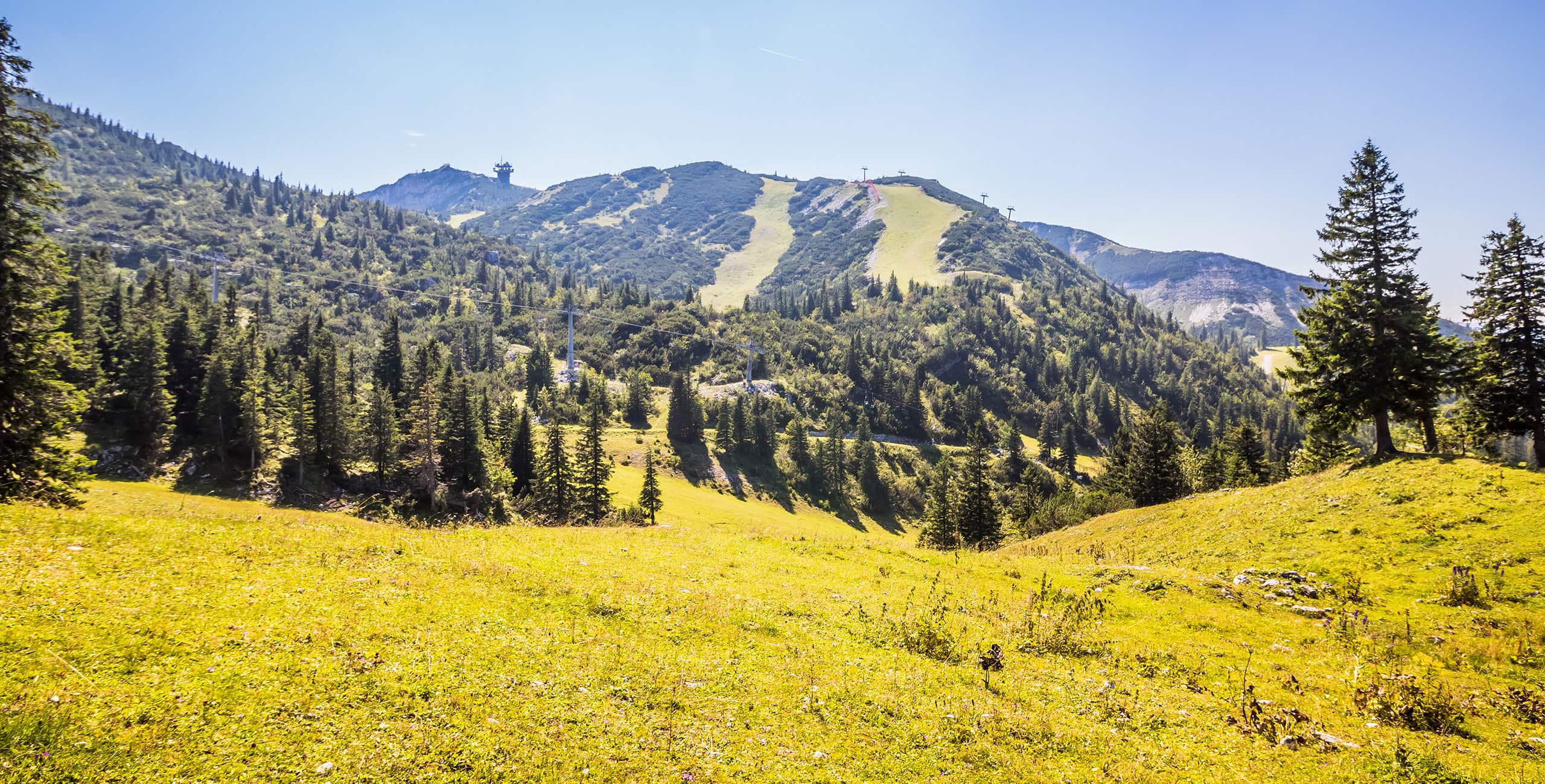 Wexl Trails